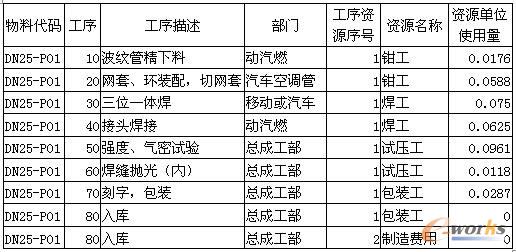 產品DN25-P01的ERP工藝路線
